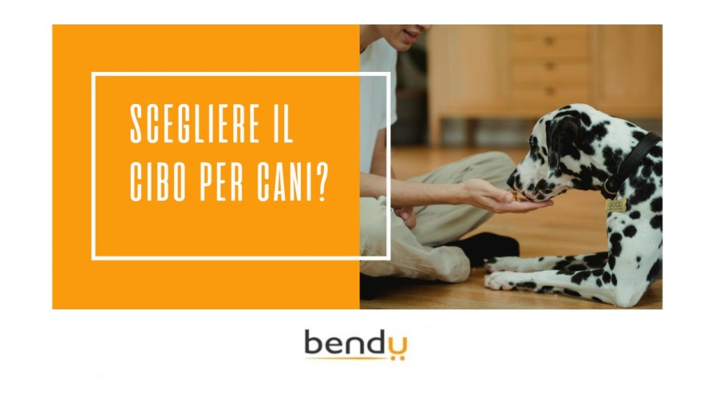 Come scegliere il cibo giusto per il tuo cane
