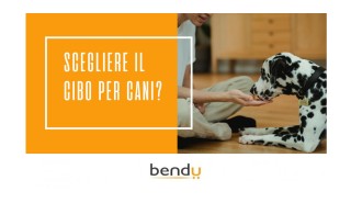 Come scegliere il cibo giusto per il tuo cane
